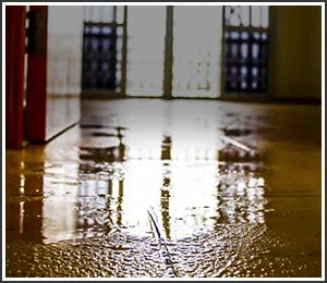 Hollywood Restoration Company Hollywood, FL 954-406-9821 Hollywood Restoration Company Hollywood, FL 954-406-9821