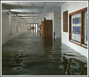 Hollywood Restoration Company Hollywood, FL 954-406-9821 Hollywood Restoration Company Hollywood, FL 954-406-9821 - home