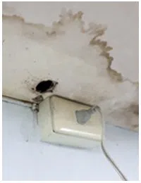 Hollywood Restoration Company Hollywood, FL 954-406-9821 Hollywood Restoration Company Hollywood, FL 954-406-9821 - sb-01