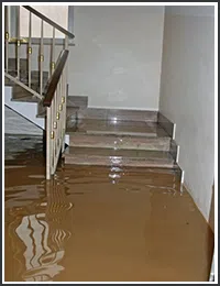 Hollywood Restoration Company Hollywood, FL 954-406-9821 Hollywood Restoration Company Hollywood, FL 954-406-9821 - sb-02